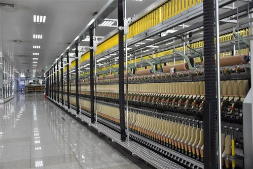 轉(zhuǎn)型升級 產(chǎn)業(yè)強(qiáng)區(qū)