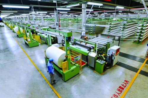 奮力打造世界一流的尼龍全產業鏈價值創造者 神馬股份高質量發展紀實